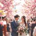 une-charmante-procession-de-mariage-sous-des-cerisiers-en-fleurs-avec-des-invitees-souriant-et-des-petales-roses-tombant-delicatement